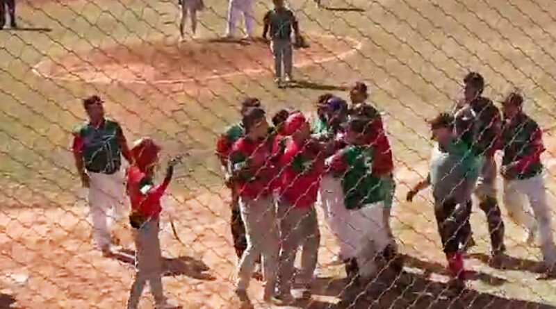 Comité Municipal de Beisbol vigila que se aplique reglamento en actos bochornosos